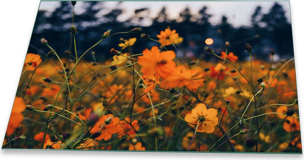 Herdabdeckplatte Glaskeramik 1 Teilig 80x52 Blumen Gelb Abdeckung Glas Spritzschutz
