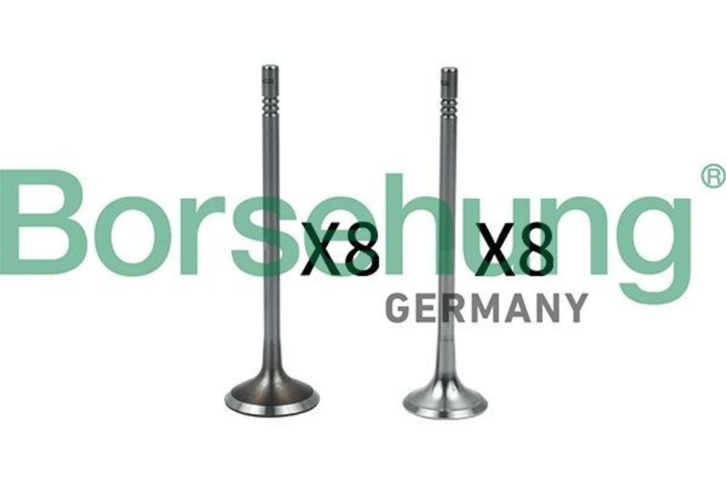 Borsehung Ventilsatz Einlass-/Auslassventil B18633 für VW Passat Variant (3G5, CB5)