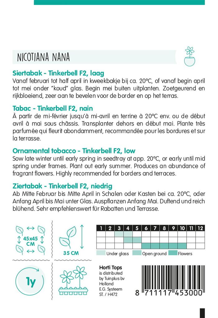 Ziertabak Tinkerbell F2 Niedrige Mischung | Blumensamen von Hortitops
