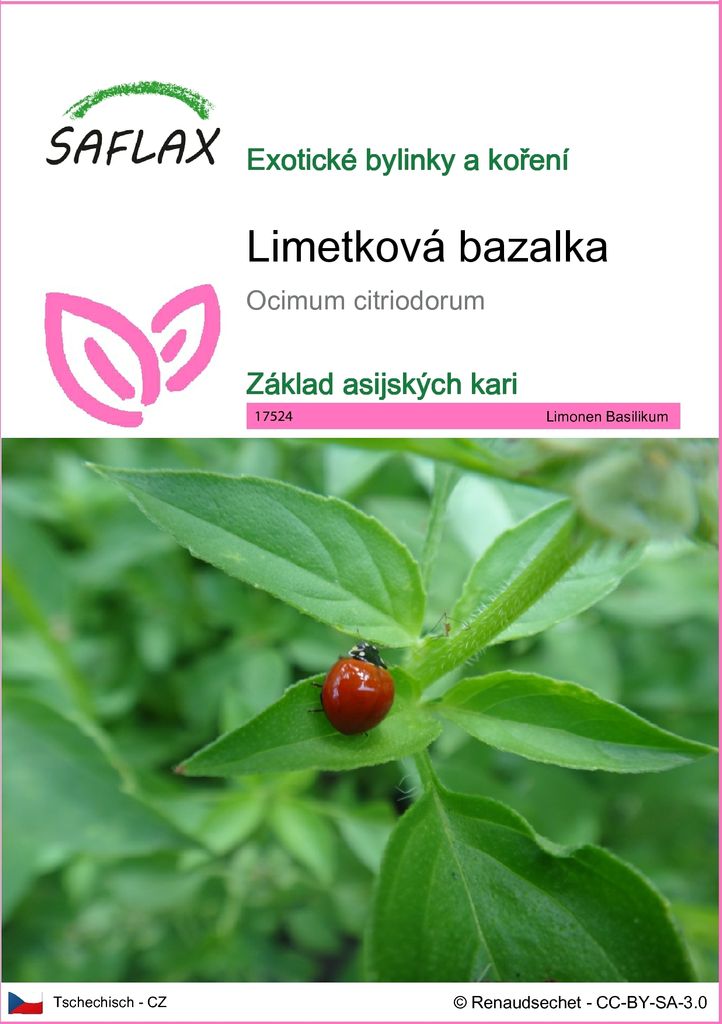SAFLAX - Limetková bazalka - Ocimum citriodorum - 200 Obrázek produktu 