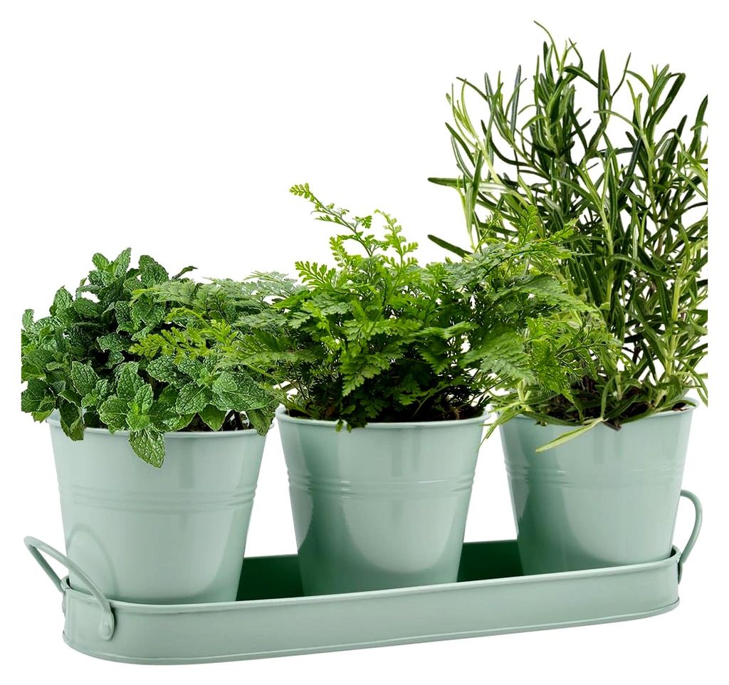 3er-Set Kräutertöpfe aus Metall mit Tablett für die Küche und den Garten