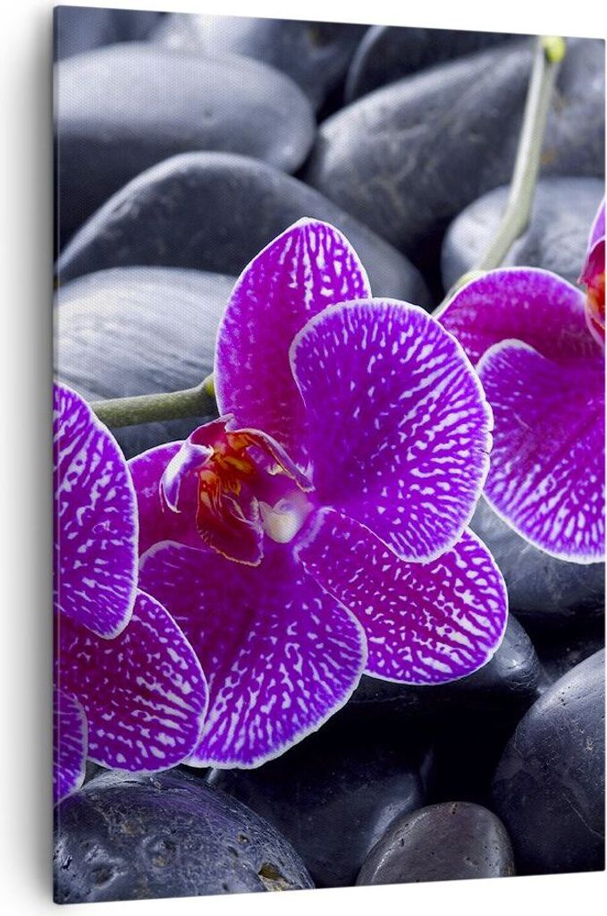 Bild auf Leinwand - Leinwandbild - Einteilig - Blumen Steine Violett Aromatherapie - 70x100cm - Wand Bild - Wandbilder - Leinwanddruck - Wanddekora...
