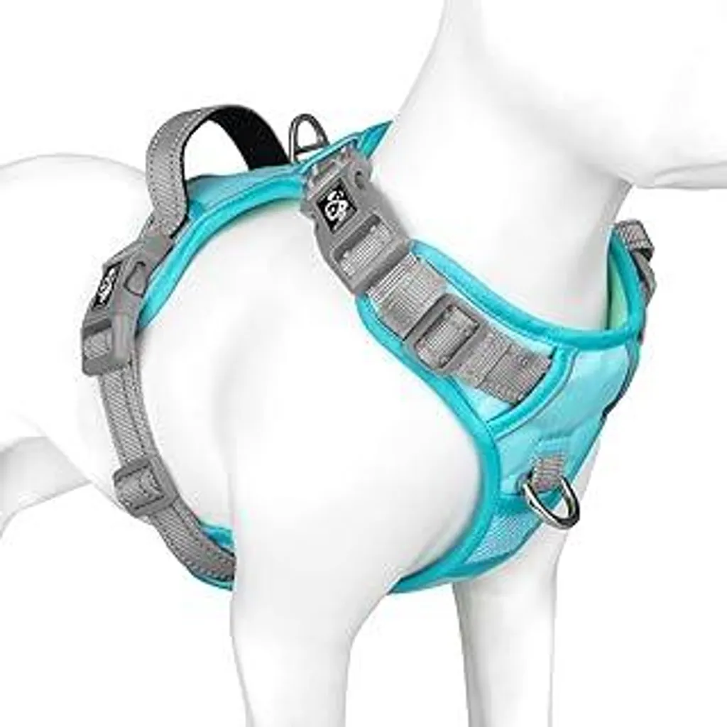 Miglior Pettorina Anti-Tiro PHOEPET M - Verde Menta Comfort Totale