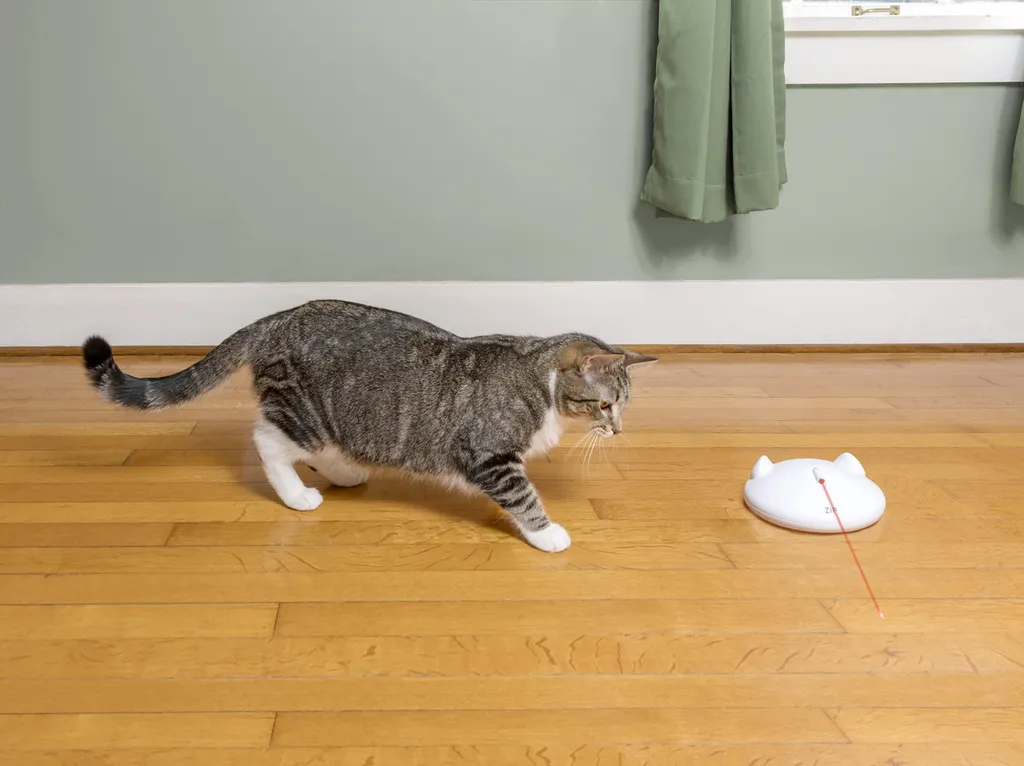 PetSafe ZIP: Il Robot Laser che salva i tuoi mobili dai graffi - 8