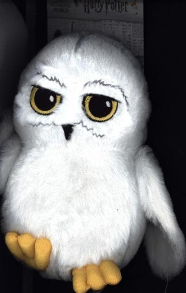 A plush toy owl, likely Hedwig from Harry Potter, is shown against a dark background with some text visible behind it.