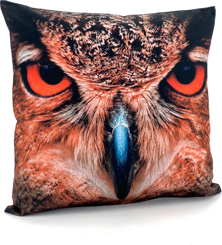 heimtexland Dekokissen Bezug Winter Tiere Foto Digitaldruck Kuschelige Velour Kissenhülle 40x40 Deko Kissen Typ831 Eule