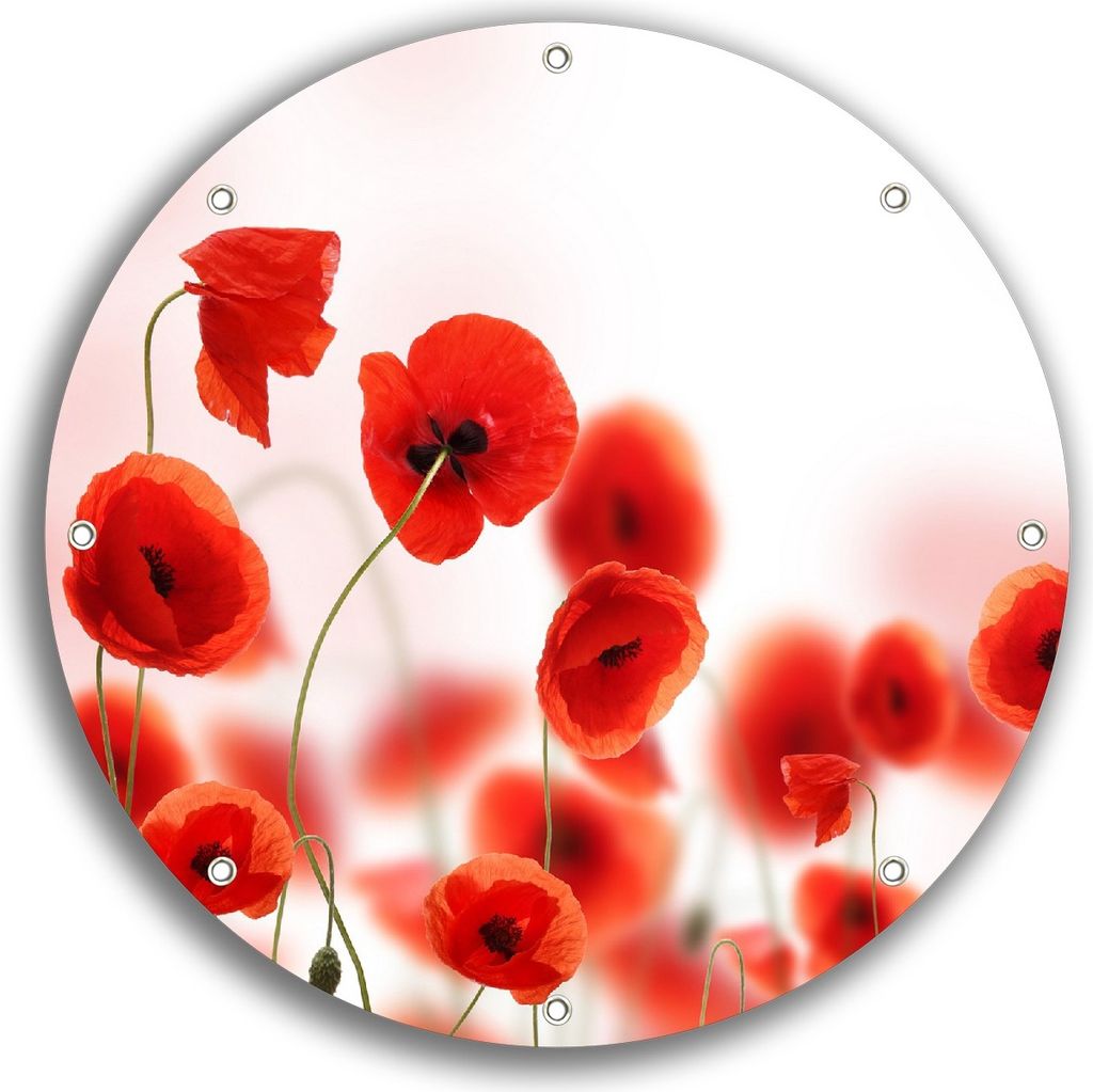 Wallario rundes Outdoor-Poster für Garten oder Balkon, Motiv Leuchtende Mohnblumen - Rote Mohnblumenblüten, 30 cm Durchmesser