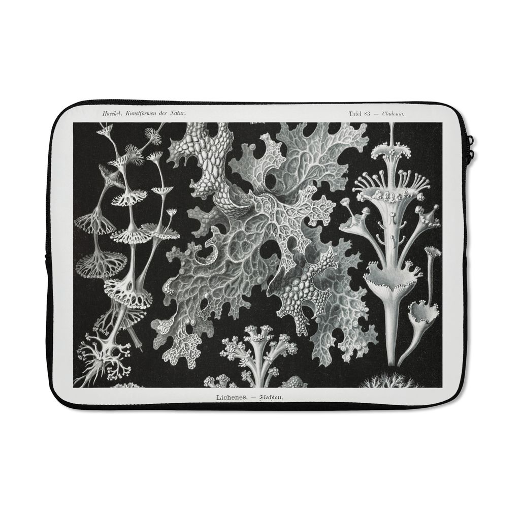 MuchoWow Laptop Hülle 14 ZollKunst - Koralle - Ernst Haeckel - Alte Meister - Natur Laptoptasche - Laptoptasche - Stoßsicher - Schutzhaube