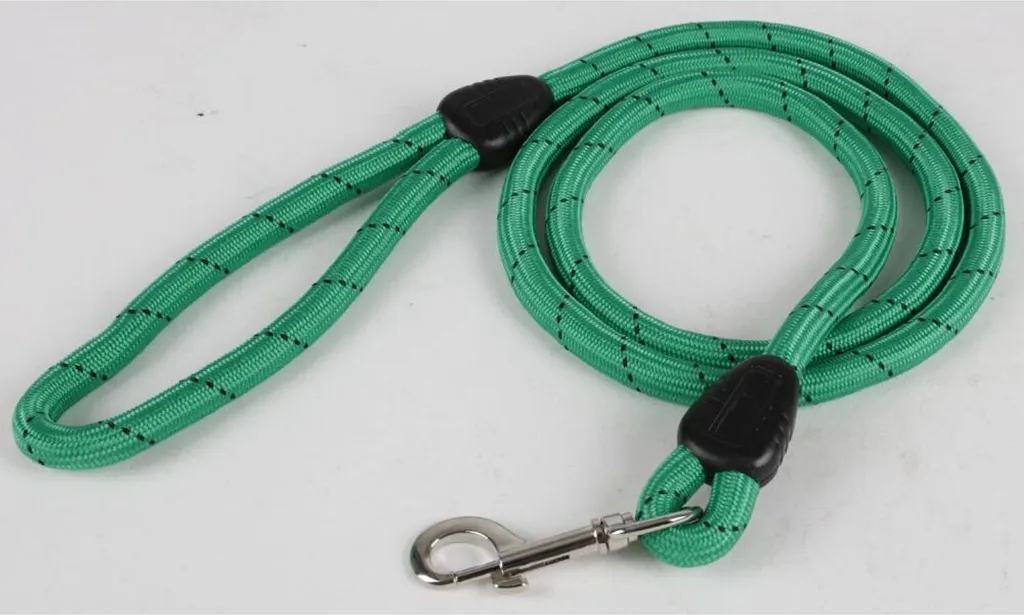 Laisse Nylon Chien 150 cm x 12 mm avec Mousqueton Métal - Pack de 6