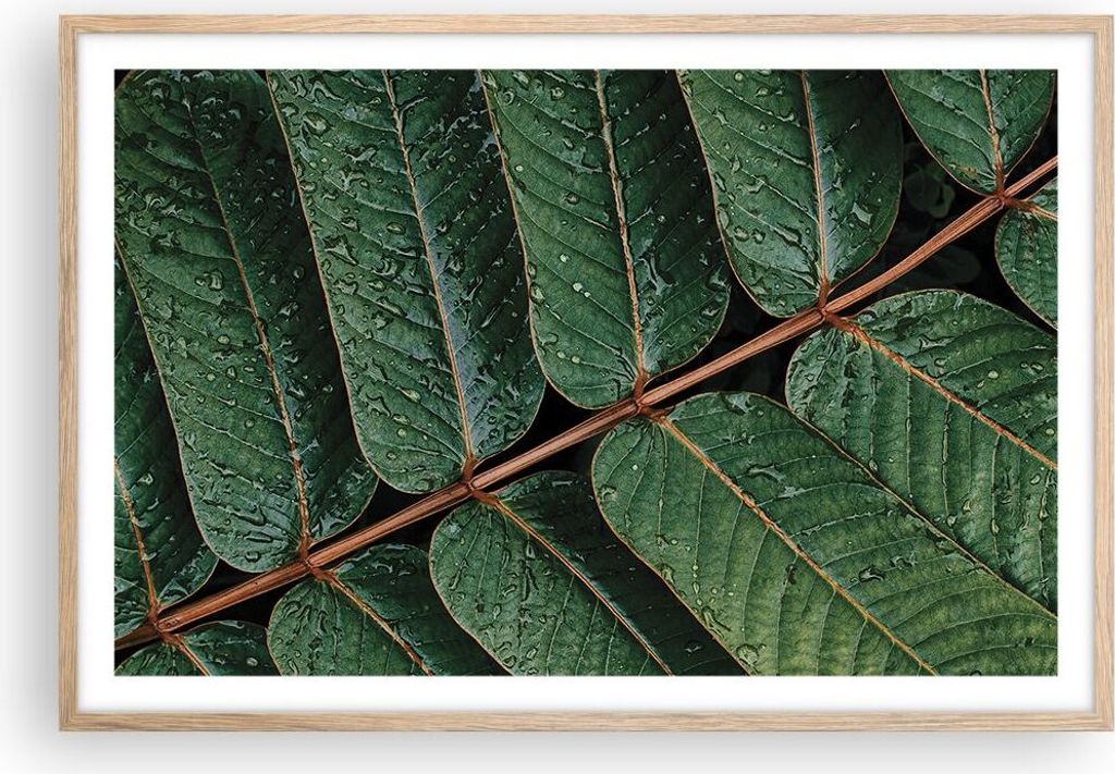 Gerahmtes Poster - Rahmen in heller Eiche - Tropfen Wasser Blätter - 91,5x61 cm - Wand Bild - Wanddeko - Wandbilder - Wandposter - Bilderrahmen - ...