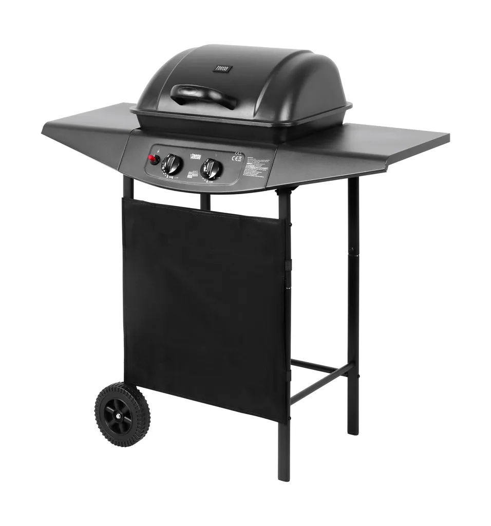 Teesa TSA0080 Barbecue à Gaz 2000 avec 2 Brûleurs en Acier pour Camping