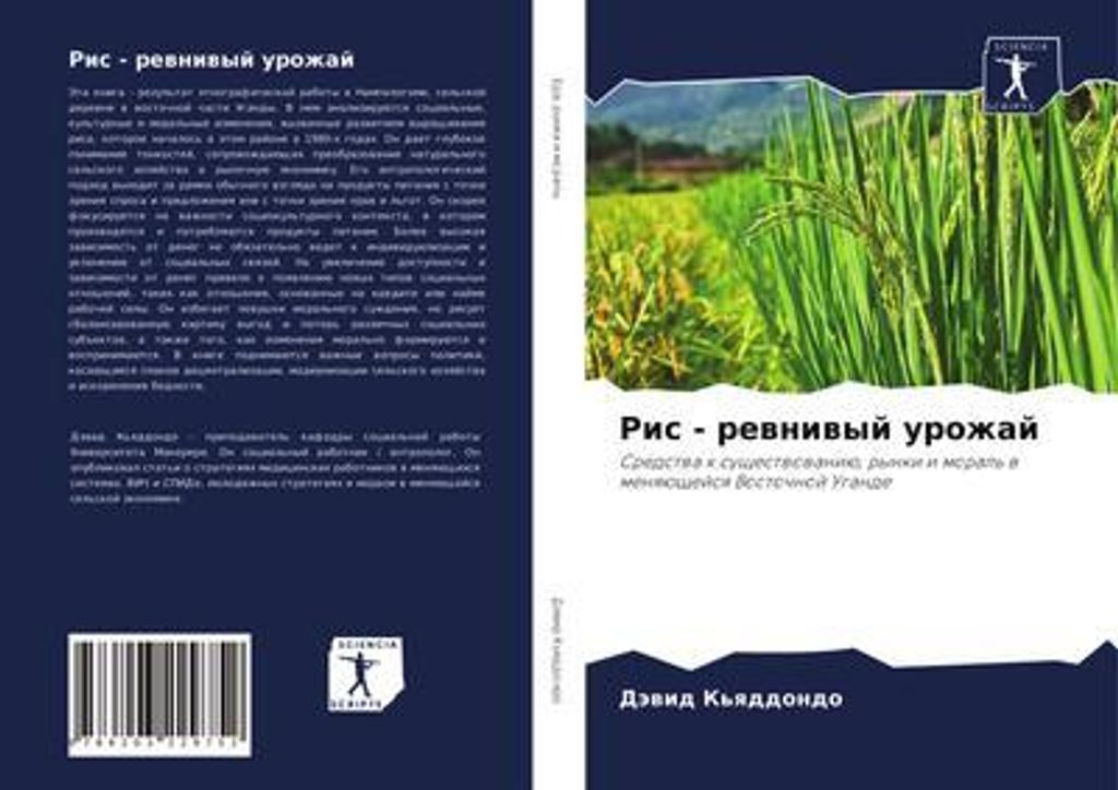 Ris - rewniwyj urozhaj