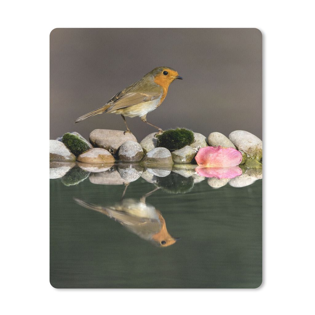 MuchoWow Mauspad Mousepad Steine - Rotkehlchen - Wasser 19x23 cm - Mousepads - Maus Mat - Pad - Mausunterlage - Mauspads - Spielen