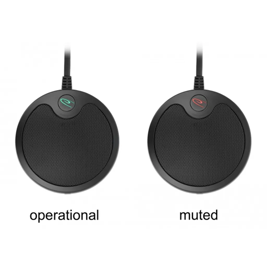 Delock Microphone à Condensateur USB Omnidirectionnel pour Conférence