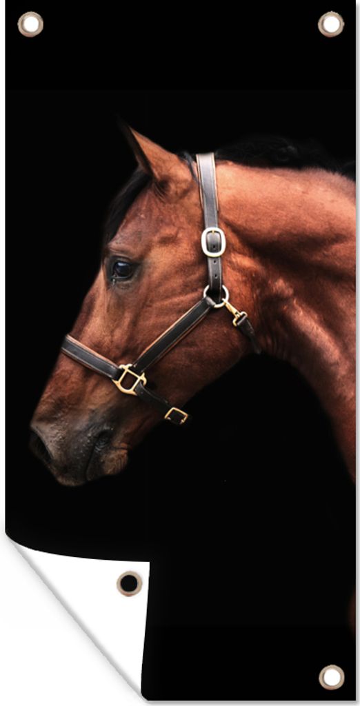 MuchoWow 30x60 cm Outdoor-Poster Gartendeko Sichtschutz Garten Poster für den Garten Pferd - Leicht - Halfter