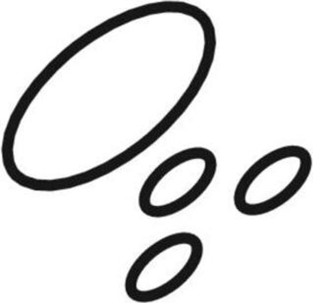 Geberit 244633001 Set O-Ringe für Duschdüse Produktbild 