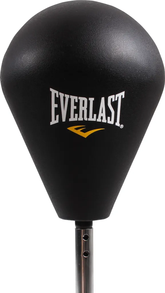 Matériel Boxe Everlast Punchingball pour Progresser à Domicile Noir - 2