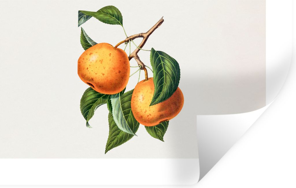 MuchoWow Wandtattoo Wandsticker Wandaufkleber Orange - Blatt - Pflanze 120x80 cm Selbstklebend und Repositionierbar - Selbstklebend - Fototapeten