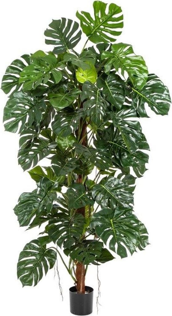 artplants.de Deko Philodendron Monstera Deliciosa MEBSUTA, 160cm - Philo künstlich