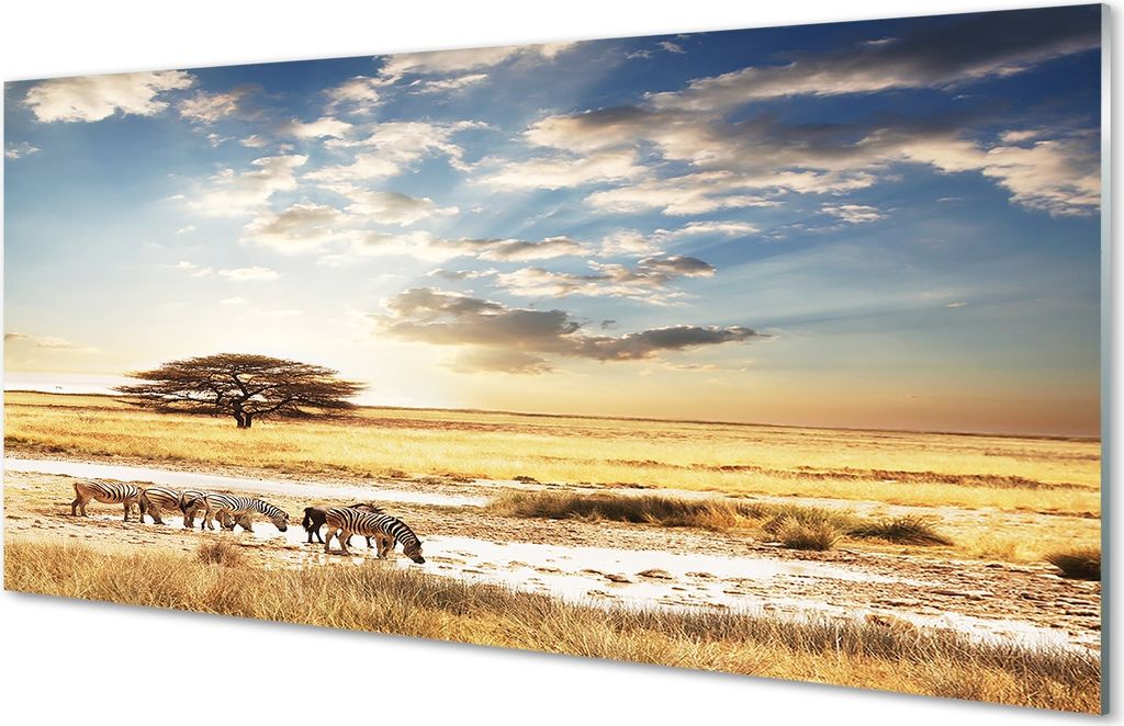 Glasbilder 100x50 Wandkunst Zebra Wolken Baum