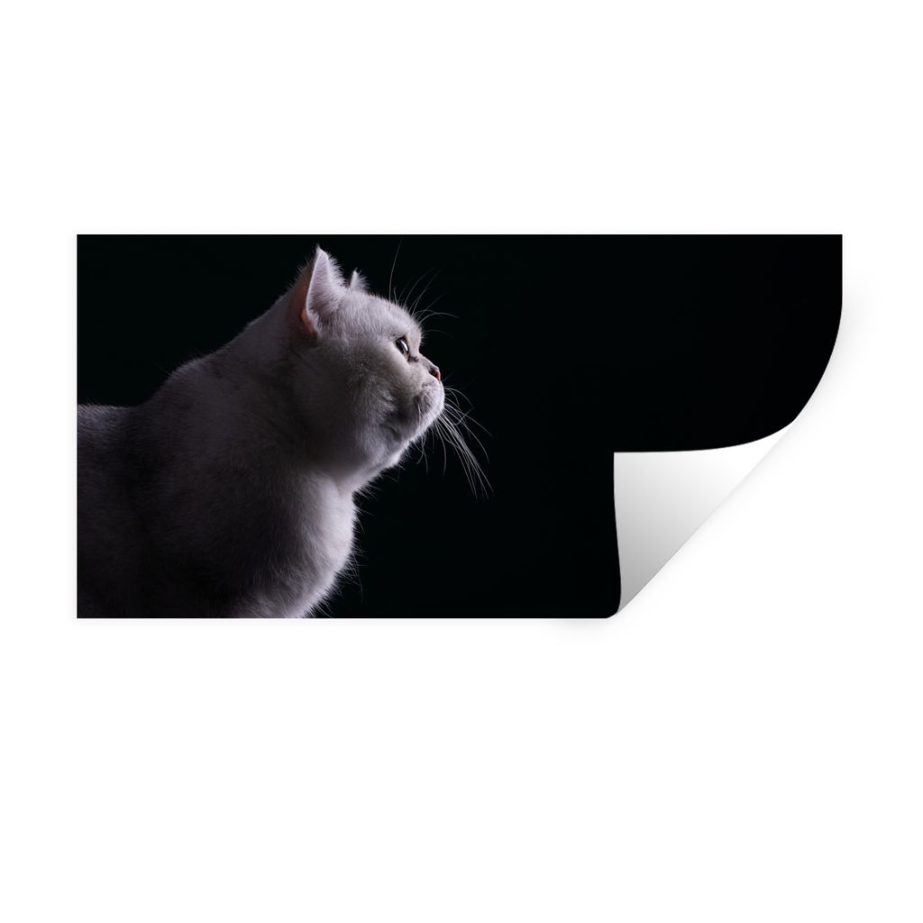 MuchoWow Wandtattoo Wandsticker Wandaufkleber Nahaufnahme einer weißen Katze 160x80 cm Selbstklebend und Repositionierbar - Sticker - Dekorfolie