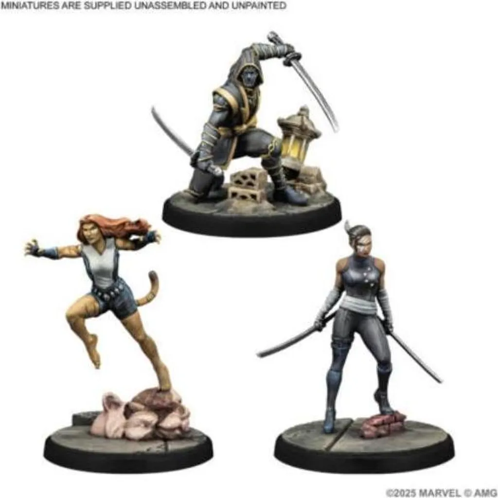 Extension de figurines Marvel Crisis Protocol Echo Ronin Tigra AMGE2108 - 2