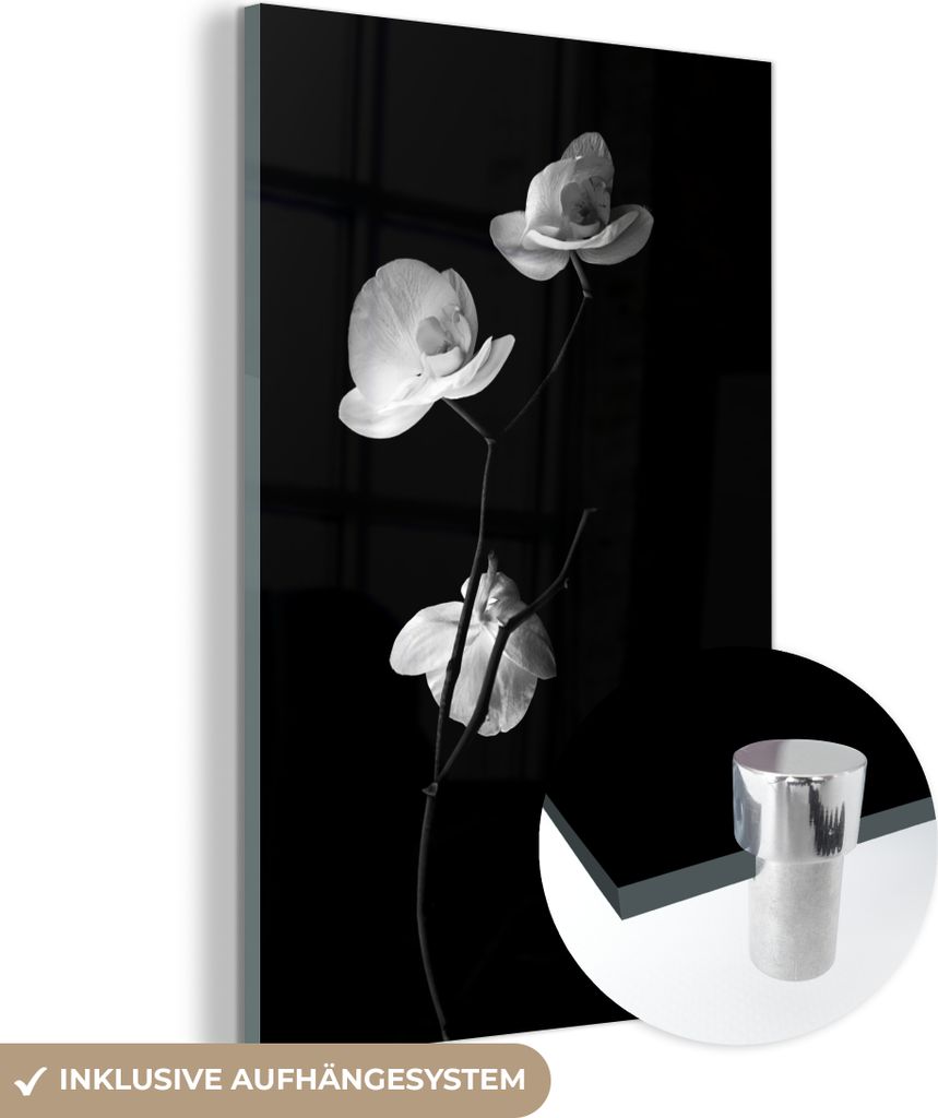 MuchoWow Glasbilder - Bilder auf Wandbild - Foto auf Glas Orchidee - Blumen - Schwarz - Weiß - Stilleben 20x30 cm Wanddekoration aus Glas - Acrylg...