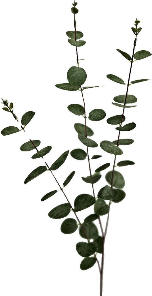 artplants.de Künstlicher Zweig Eukalyptus ERINDALS, grün-grau, 90cm - Kunst Eukalyptuszweig