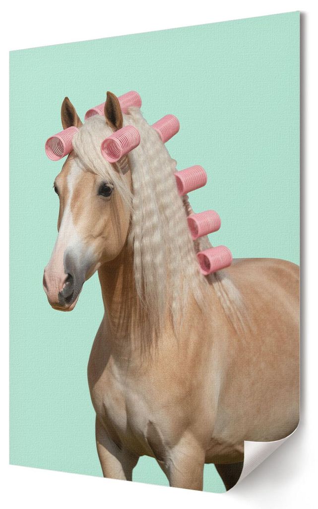 Pferd mit Rollen- Kunstdruck A3 (29x42 cm) - Humorvoll, modern, minimalistisch- Wandbild für Wohnzimmer Schlafzimmer & Flur, Modernes Poster Wandd...