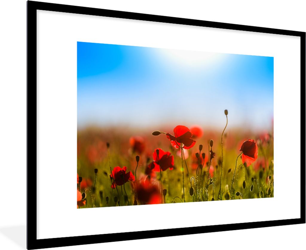 MuchoWow Gerahmtes Poster Mohnblumen unter einem klaren blauen Himmel. 90x60 cm - Poster mit Schwarzem Bilderrahmen Wandposter Rahmen Foto Bilder...