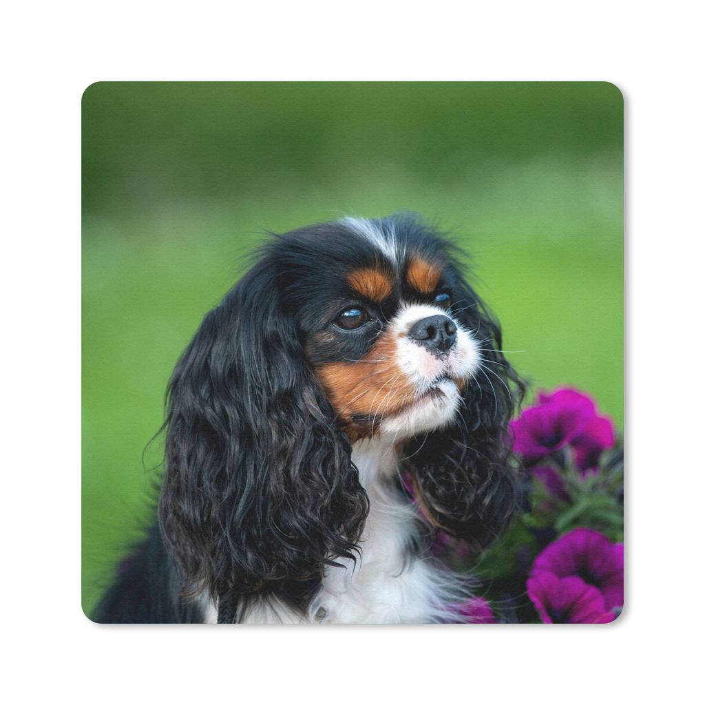 MuchoWow Mauspad Mousepad Cavalier King Charles Spaniel mit lila Blumen 20x20 cm - Mousepads - Maus Mat - Pad - Mausunterlage - Desk Mat - Bureau...