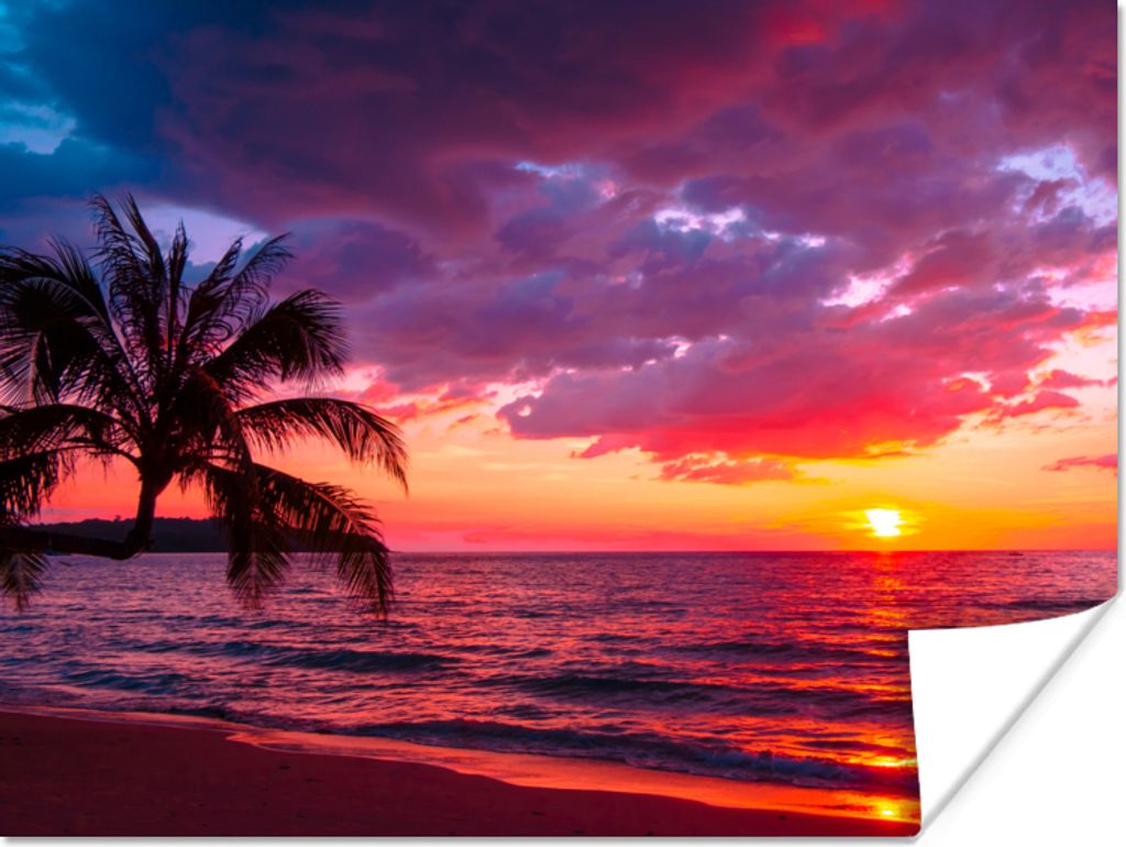 MuchoWow Poster Sonne - Horizont - Rosa - Palme - Meer 160x120 cm - Foto Plakat