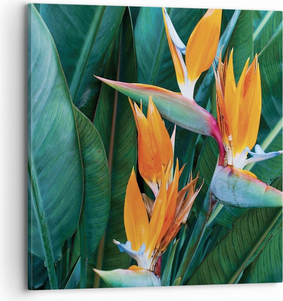 Bild auf Leinwand - Leinwandbild - Einteilig - Himmlisch Vogel Blume - 70x70cm - Wand Bild - Wanddeko - Wandbilder - Leinwanddruck - Bilder - Wandd...