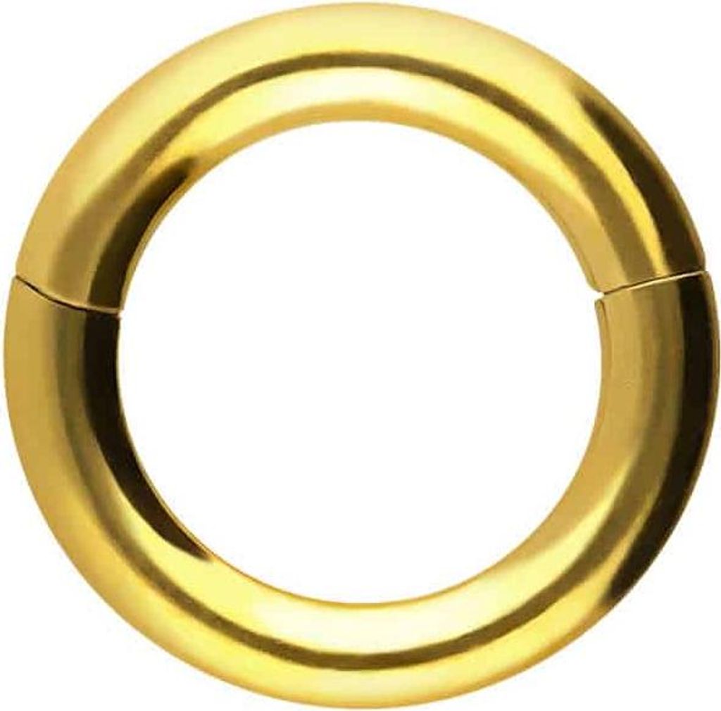 Ohrpiercing, Nasenpiercing, Septum Piercing Chirurgenstahl Segmentring Clicker Gold Innendurchmesser: 8mm + Stabstärke: 2,5mm