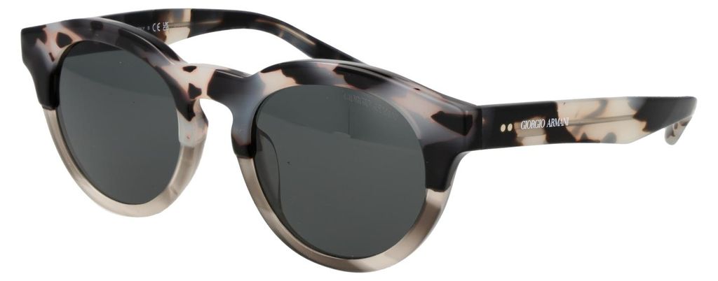 Giorgio Armani Sonnenbrille 0AR8189U 600987 51 Uni Produktbild 