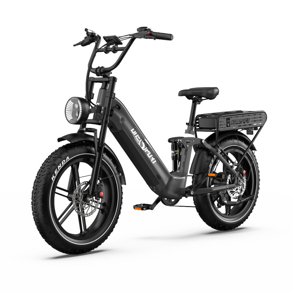 Elektrofahrrad, 250W E-Bike mit 2*18Ah herausnehmbarem Doppelakku, geländegängiges 20" x 4" Fat Tire Elektrofahrrad, bis zu 25km/h, Vorderradfede...