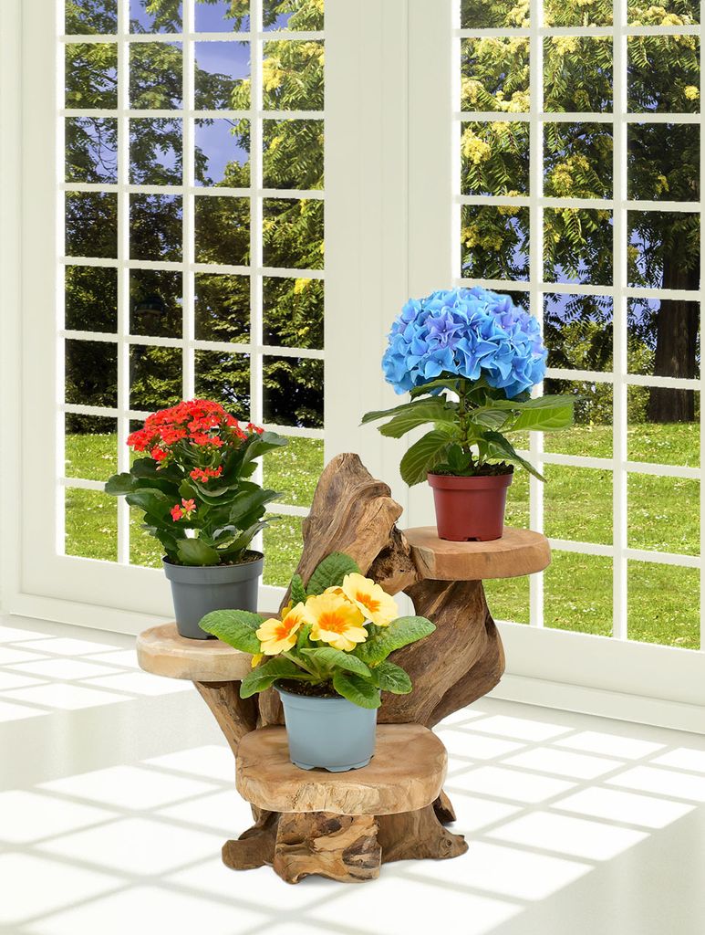 Teak Blumenständer Blumenpodest Pflanzentreppe Ständer Produktbild 7