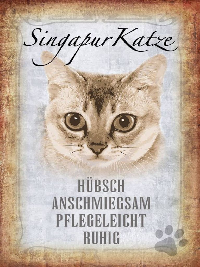 vianmo Holzschild 40x30 cm Singapur Katze
