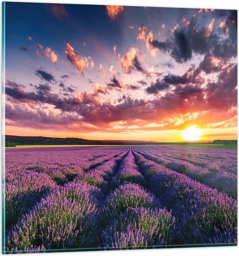 Bilder auf glas - Lavendel Berge Feld - 70x70cm - Glasbilder - Wandbilder - Kunstdruck - zum Aufhängen bereit - Wanddekoration aus Glas - Glas Bil...