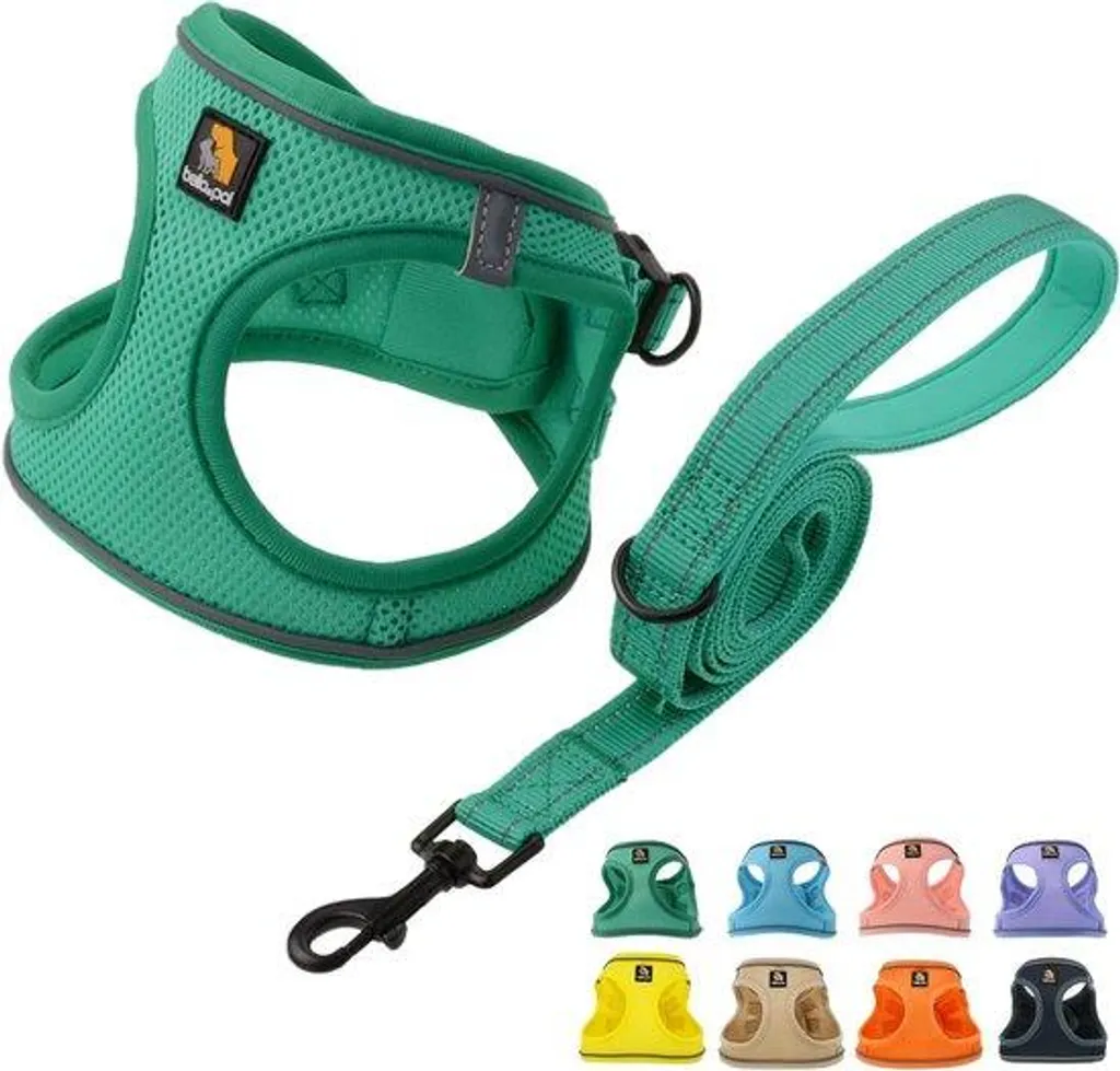 Harnais veste pour chien avec laisse ensemble de promenade en filet mesh