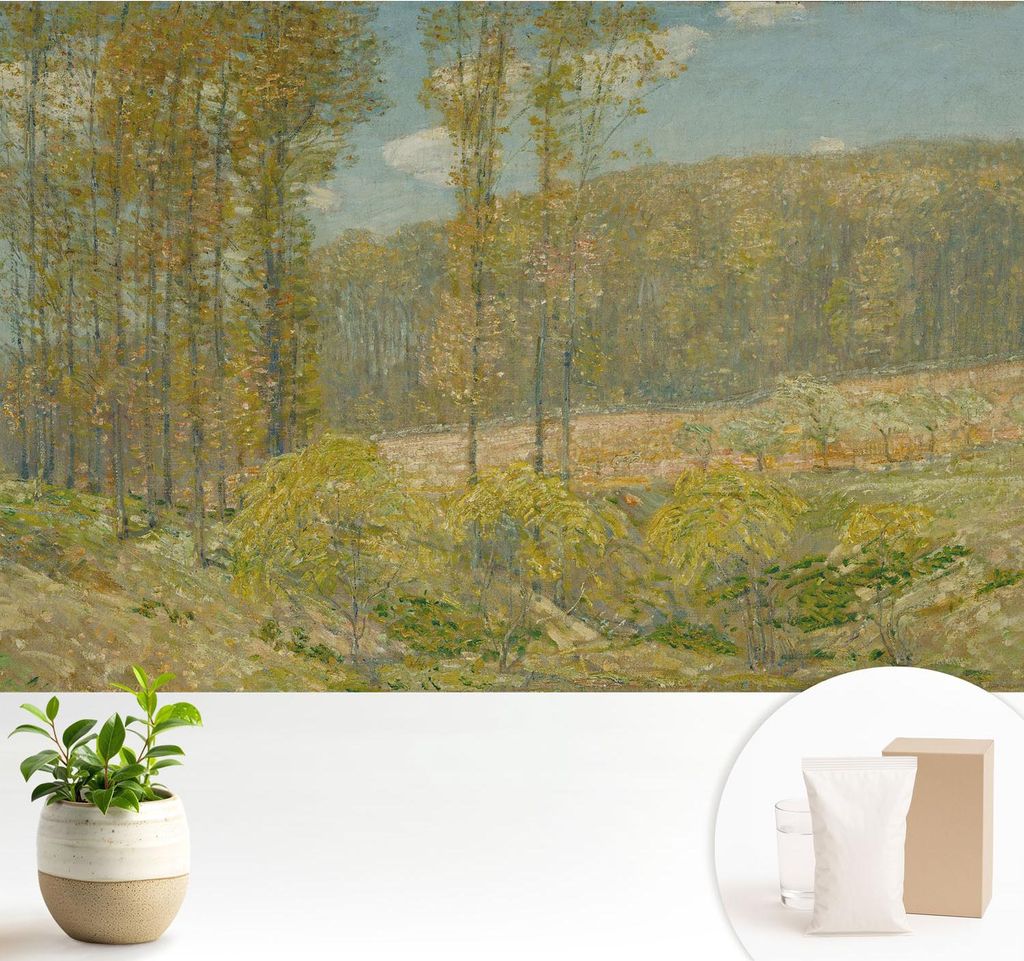 Fototapete - 104x70 cm - Tapete - Wandtapete - Wandbilder - Dekofolie - Tapete Folie - Wand - Dekoration - Wohnzimmer - Waldlandschaft
