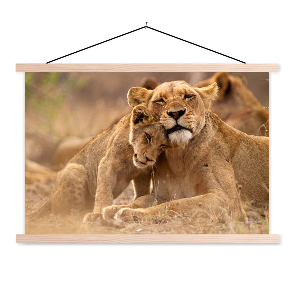 MuchoWow Textilposter Löwe - Wilde Tiere - Jungtier 60x40 cm mit holzfarbenen Rahmen - Bilder