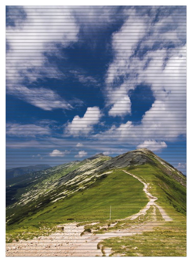 Wallario Duschmatte Antirutschmatte Badmatte Fußmatte Alpenluft, Größe ca. 90 x 65 cm