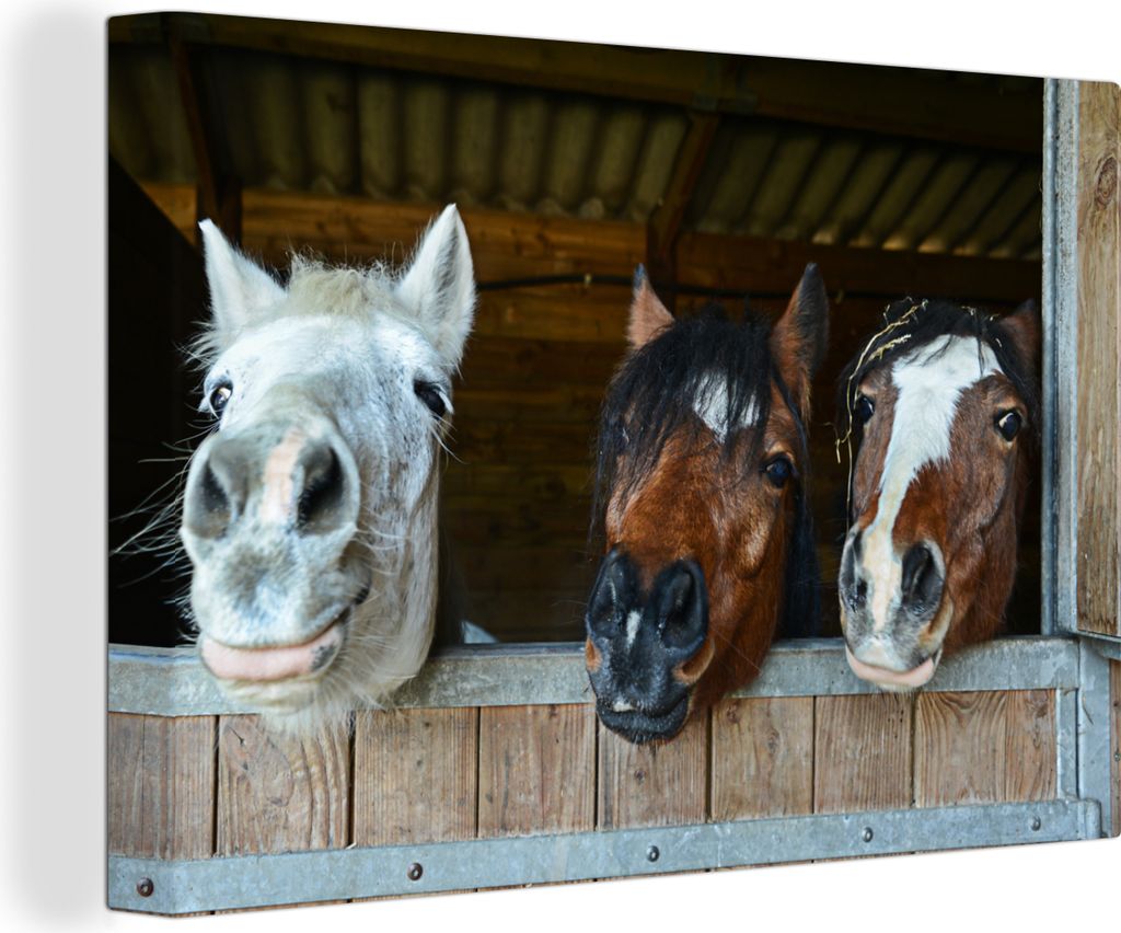 OneMillionCanvasses - Leinwandbilder - 150x100 cm, Pferde - Tiere - Beschichtungen - Ställe, Wandbilder Kunstdruck Wanddekoration