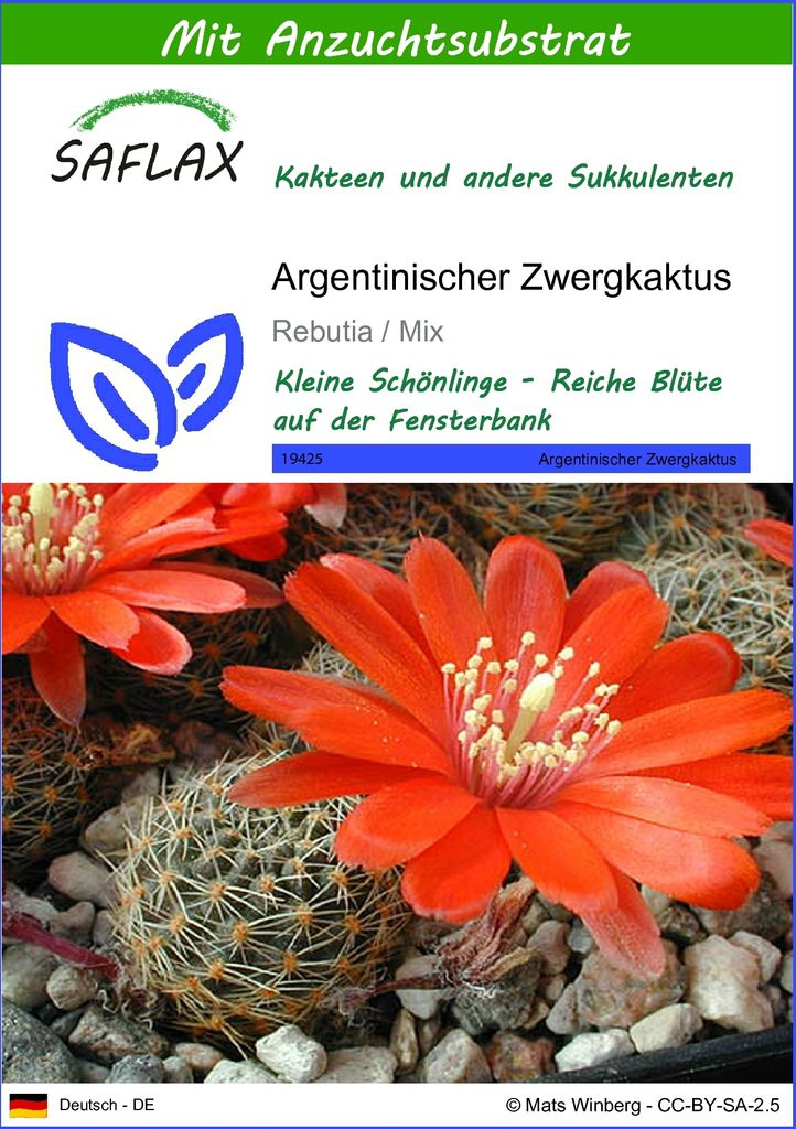SAFLAX - Kakteen - Argentinischer Zwergkaktus - 40 Samen - Mit keimfreiem Anzuchtsubstrat - Rebutia Mix