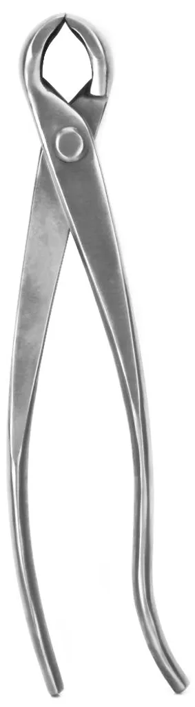 Taille de structure bonsaï : coupe-boutons 210 mm inox pour cicatrisation