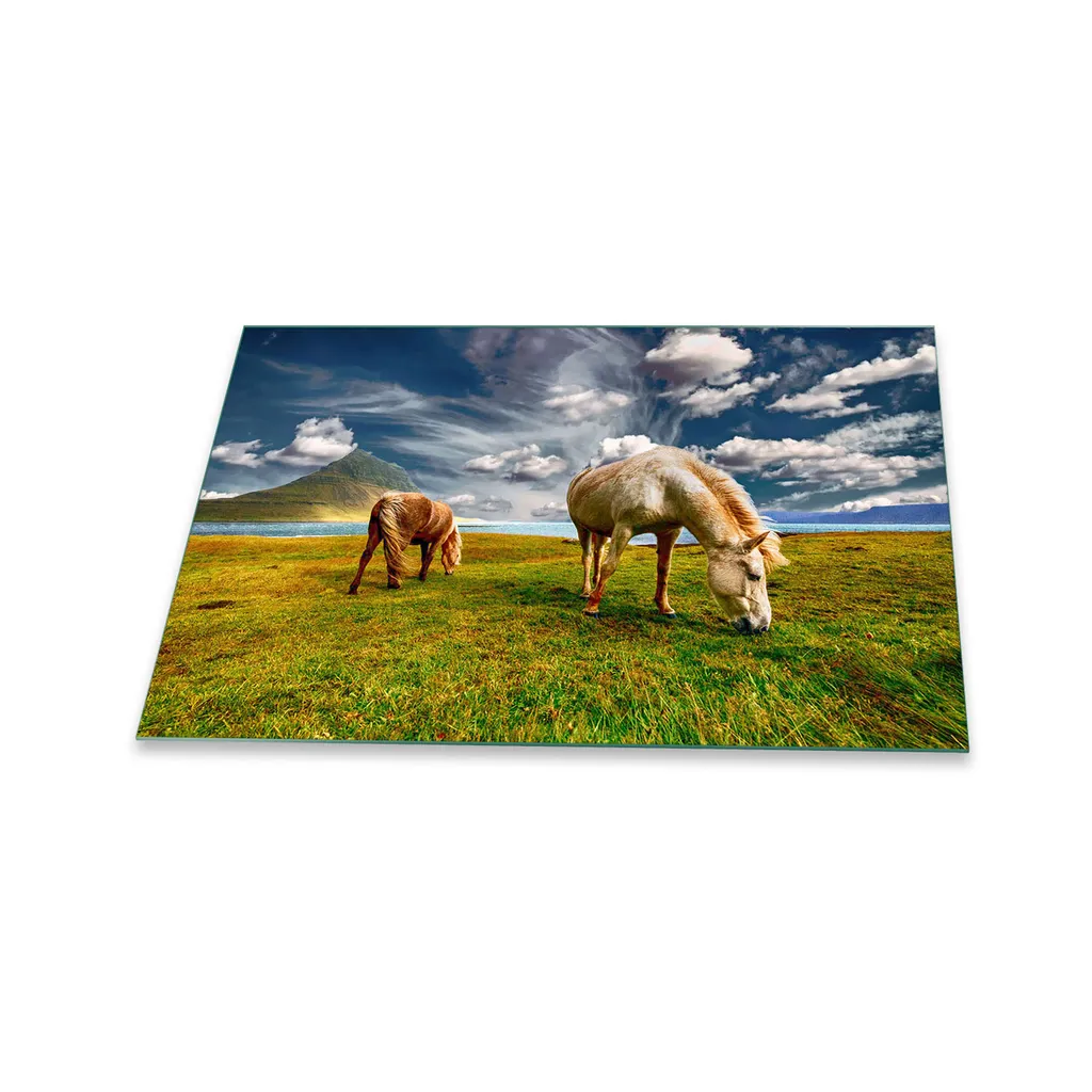 Tagliere Gigante e Coprifornelli 80x52 Vetro Temperato Cavallo