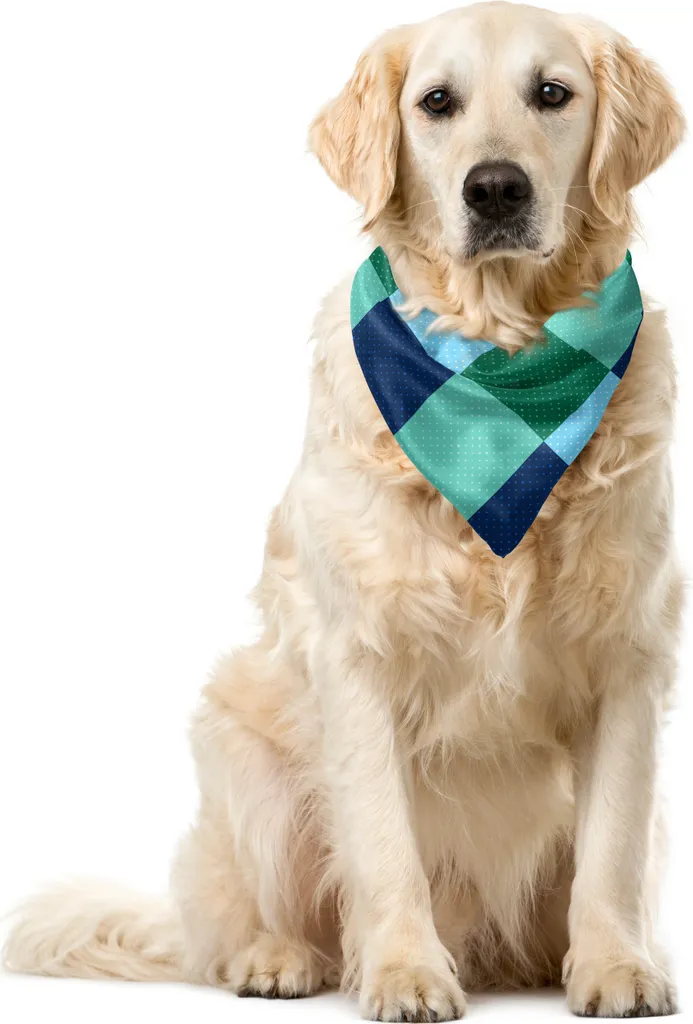 ABAKUHAUS Luxury Pet Bandana Blu e Verde Acqua 55x55 cm | Chic Pet