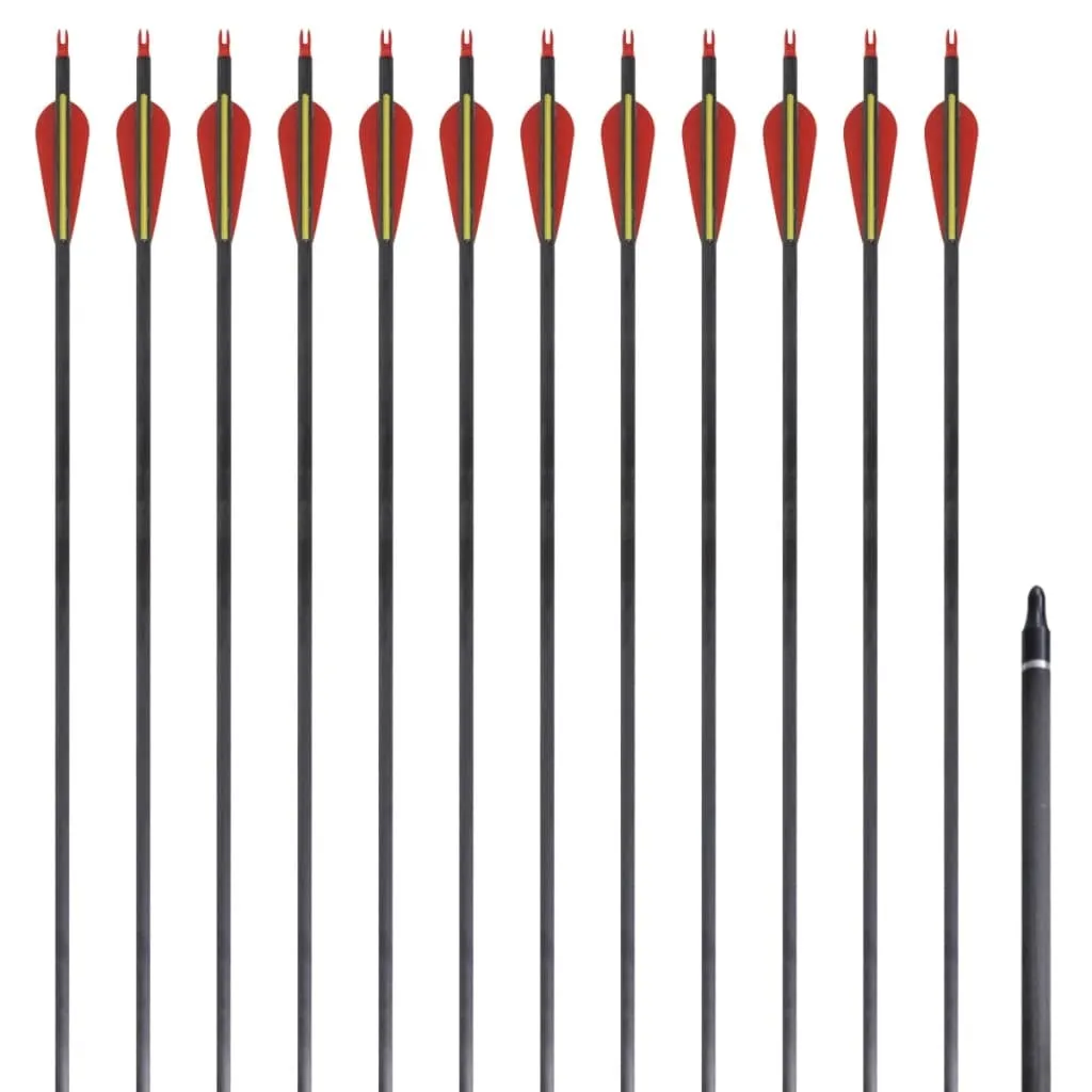 Flèches arc recurve pour tir sur cible en carbone 30 pouces pack de 12