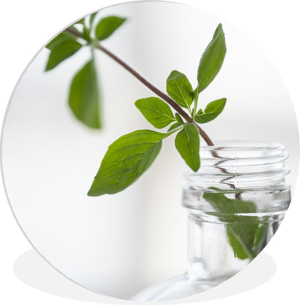 MuchoWow Rundes Wandbild - Runde Bilder Ein einzelner Oregano-Zweig in einem Glasgefäß in einer hellen Umgebung Ø 60 cm Kreis Wanddekoration K...